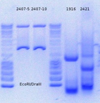 RTENOTITLE