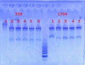 Thumbnail for version as of 11:31, 7 June 2013