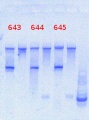 Thumbnail for version as of 12:50, 30 May 2013