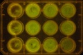 Thumbnail for version as of 10:34, 12 January 2012