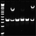 Thumbnail for version as of 18:43, 28 May 2019