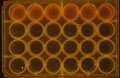 Thumbnail for version as of 16:58, 8 April 2016