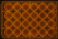 Thumbnail for version as of 15:37, 15 April 2016