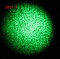 Thumbnail for version as of 15:32, 21 February 2012