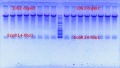 Thumbnail for version as of 15:30, 21 May 2012