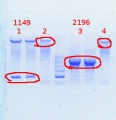 Thumbnail for version as of 12:44, 13 May 2014