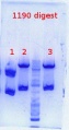 Thumbnail for version as of 16:03, 22 May 2012