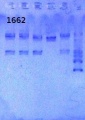 Thumbnail for version as of 11:41, 11 July 2013