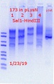 Thumbnail for version as of 15:12, 23 January 2019