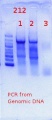 Thumbnail for version as of 17:06, 24 May 2012