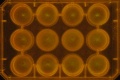 Thumbnail for version as of 12:02, 15 December 2011