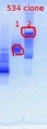 Thumbnail for version as of 15:22, 18 April 2012