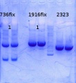 Thumbnail for version as of 13:10, 20 October 2014