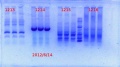 Thumbnail for version as of 09:25, 14 June 2012