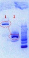 Thumbnail for version as of 19:02, 11 June 2012