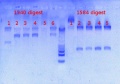 Thumbnail for version as of 16:12, 20 February 2013