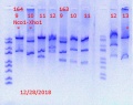 Thumbnail for version as of 14:05, 28 December 2018