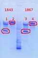 Thumbnail for version as of 14:05, 25 September 2013
