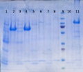 Thumbnail for version as of 18:08, 10 December 2014