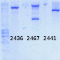 Thumbnail for version as of 17:20, 18 May 2015