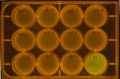 Thumbnail for version as of 16:45, 23 September 2012