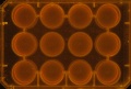 Thumbnail for version as of 11:22, 28 December 2011