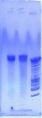 Thumbnail for version as of 14:12, 8 October 2012