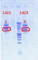 Thumbnail for version as of 09:14, 12 October 2012