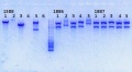 Thumbnail for version as of 11:33, 13 January 2014