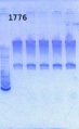 Thumbnail for version as of 12:49, 12 July 2013