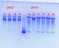 Thumbnail for version as of 17:15, 14 January 2014