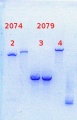 Thumbnail for version as of 15:01, 21 February 2014