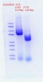 Thumbnail for version as of 16:43, 3 June 2020