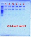 Thumbnail for version as of 17:07, 8 December 2011