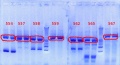 Thumbnail for version as of 13:39, 17 September 2012