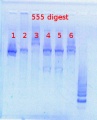 Thumbnail for version as of 11:38, 7 June 2013