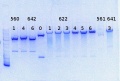 Thumbnail for version as of 11:34, 6 August 2013