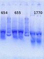 Thumbnail for version as of 11:16, 3 July 2013