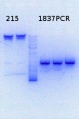 Thumbnail for version as of 11:26, 30 August 2013