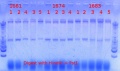 Thumbnail for version as of 18:51, 3 March 2013