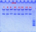 Thumbnail for version as of 12:31, 28 August 2013