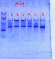 Thumbnail for version as of 15:25, 11 March 2014