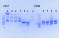 Thumbnail for version as of 17:27, 1 August 2014