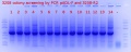 Thumbnail for version as of 16:39, 21 June 2018
