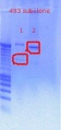 Thumbnail for version as of 14:29, 15 November 2011