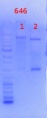 Thumbnail for version as of 13:14, 11 October 2013
