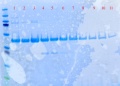 Thumbnail for version as of 15:26, 21 December 2011