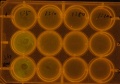 Thumbnail for version as of 18:45, 23 March 2011