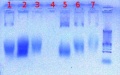 Thumbnail for version as of 10:56, 20 October 2012