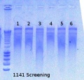 Thumbnail for version as of 15:30, 6 August 2012